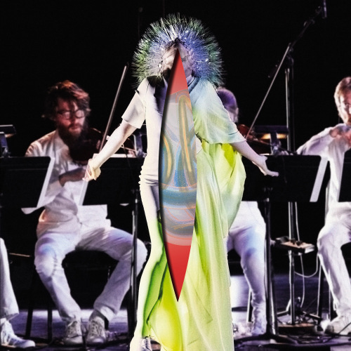 BJORK - VULNICURA STRINGSBJORK - VULNICURA STRINGS.jpg